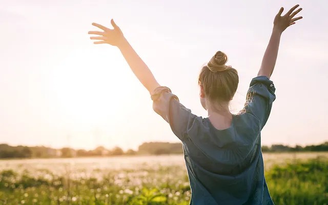 Crafting a Vibrant Lifestyle: Essential Elements for Daily&nbsp;Fulfillment